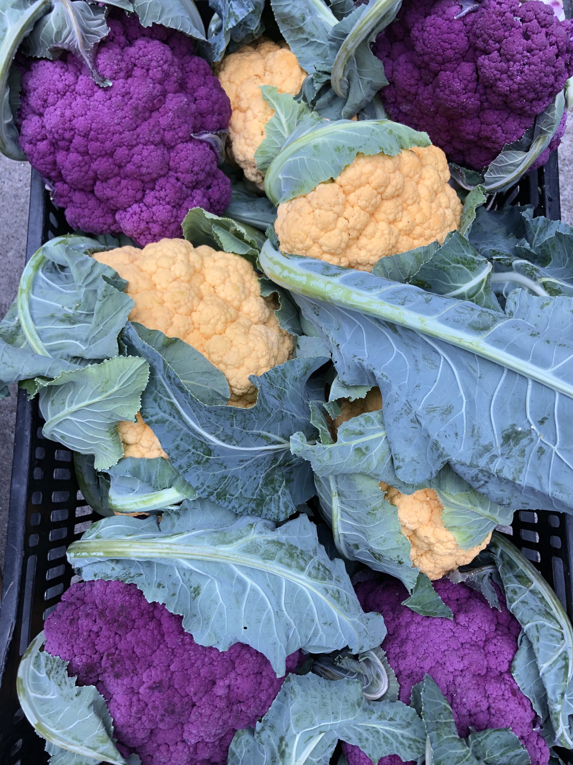 Cauliflower, Multicolor - LA Home Farm