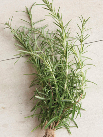 Rosemary